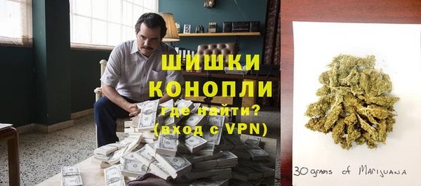 PSILOCYBIN Сафоново