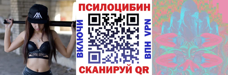 Купить закладки  Магнитогорск  Галлюциногенные грибы мицелий 